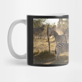 Zebras in the dust, Caprivi, Namibia Mug